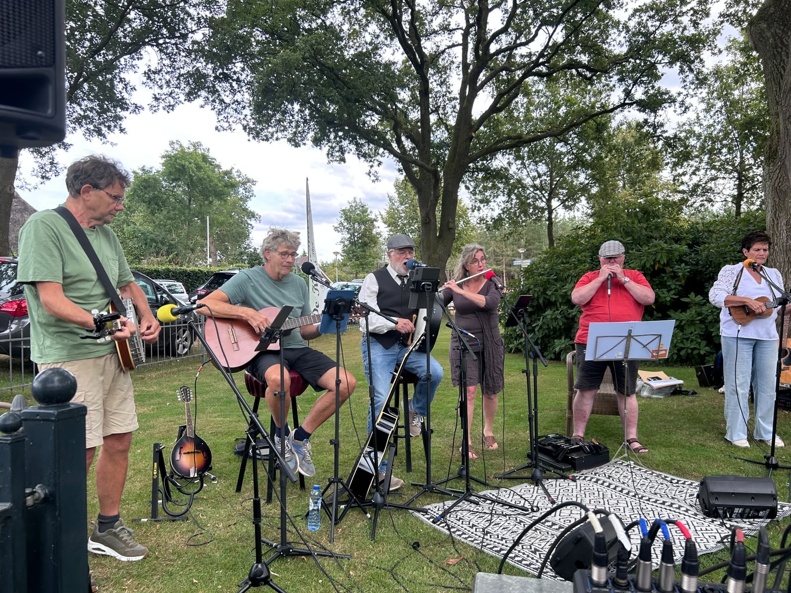 optreden in de kippesthee